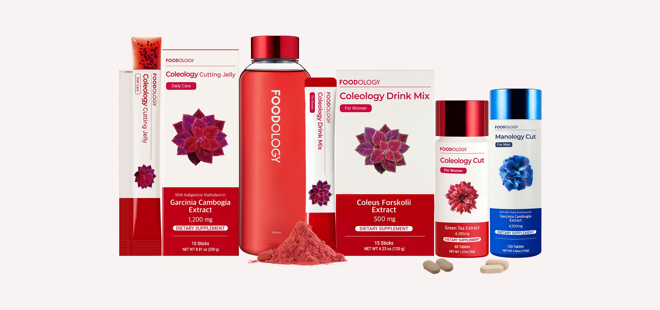 Bundle Deals – FOODOLOGY