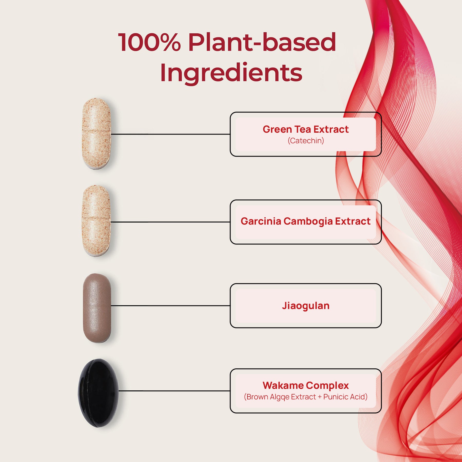 FOODOLOGY Burningology D-Day supplement featuring Garcinia Cambogia 1200mg and HCA 750mg. Burningology D-Day pack with herbal extracts – supports fat metabolism and cholesterol balance