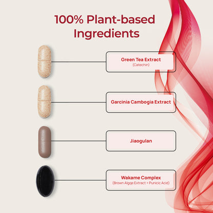 FOODOLOGY Burningology D-Day supplement featuring Garcinia Cambogia 1200mg and HCA 750mg. Burningology D-Day pack with herbal extracts – supports fat metabolism and cholesterol balance