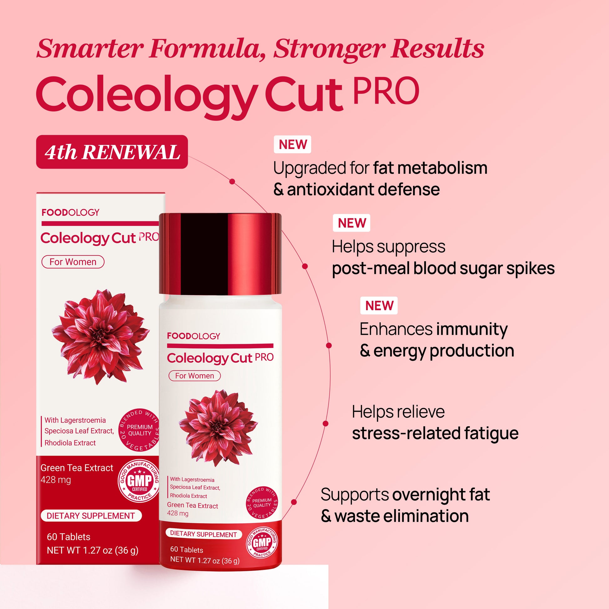 FOODOLOGY Coleology Cut PRO – upgraded formula for fat metabolism, antioxidant defense, and energy support