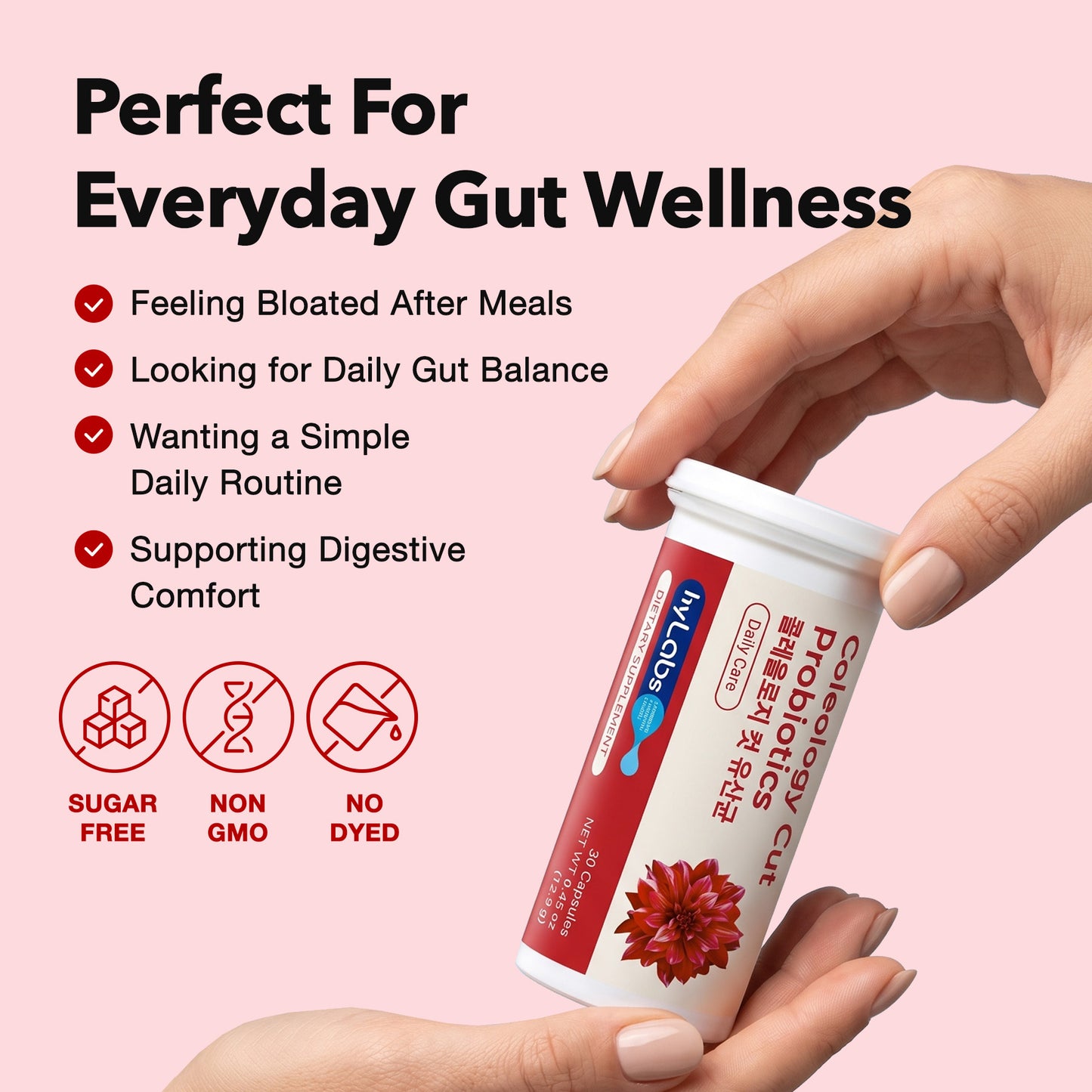 [Amazon] Diet Probiotics for Weight Management & Immune Support